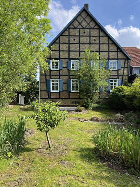 Blick aus dem Garten - 
