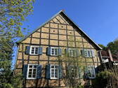 Blick aus dem Garten - 