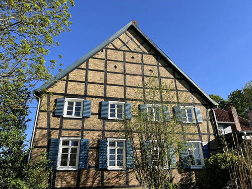 Blick aus dem Garten - 