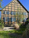 Blick aus dem Garten - 