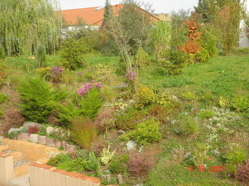Garten - 2 Zimmer Etagenwohnung zur Miete in Bennewitz