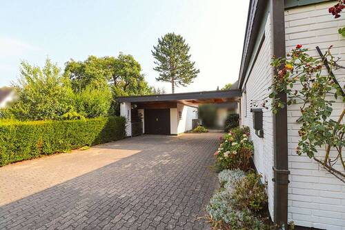 Zuwegung / Vorplatz - 