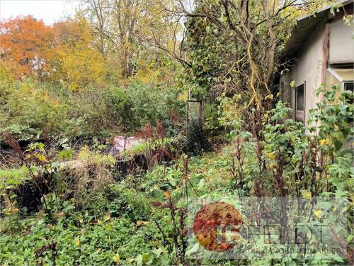 Garten mit dem Stall rechts - Grundstück in Schulzendorf