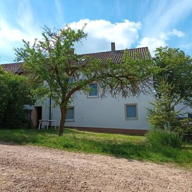 Rückansicht - 6 Zimmer Mehrfamilienhaus, Wohnhaus in Hallgarten