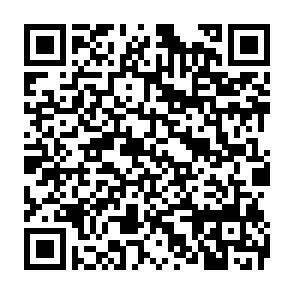 QR-Code - 