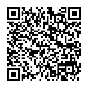 QR-Code - 