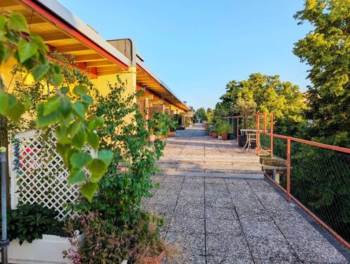 Dachterrasse für alle Mieter-Eigentümer - 