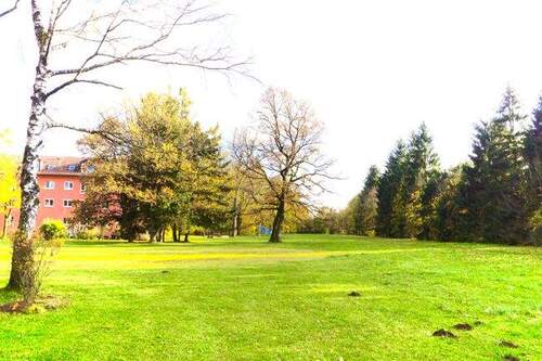 Ausblick Südgarten - 