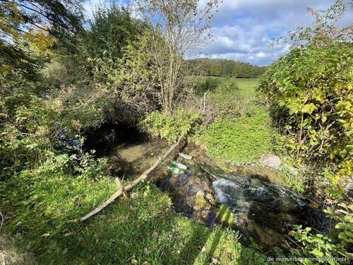 B3 TH.NARING.G.1 - Grundstück in Weyarn zum Kaufen