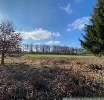 Großzügiges Mehrfamilienhaus + Blockhütte auf großem Grundstück ! - Hamburg Lemsahl-Mellingstedt