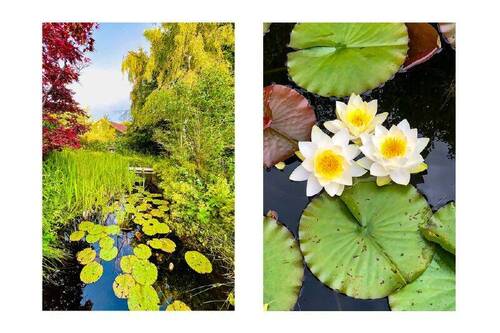 Garten III - 