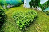 Garten IV - 