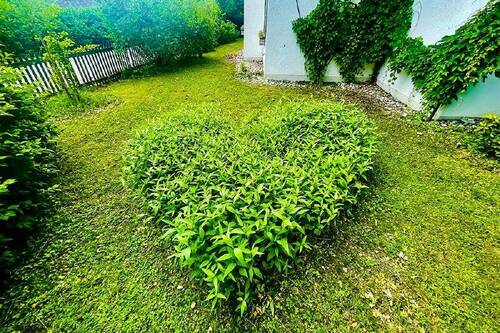 Garten IV - 