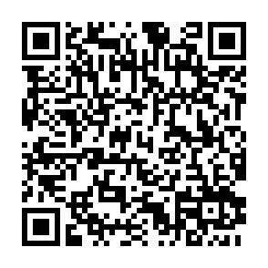 QR-Code - 