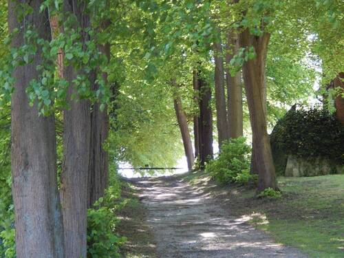 Allee zum See - 