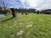 Gartenbereich mit Rasenfläche - 