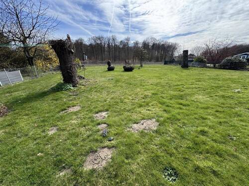 Gartenbereich mit Rasenfläche - 