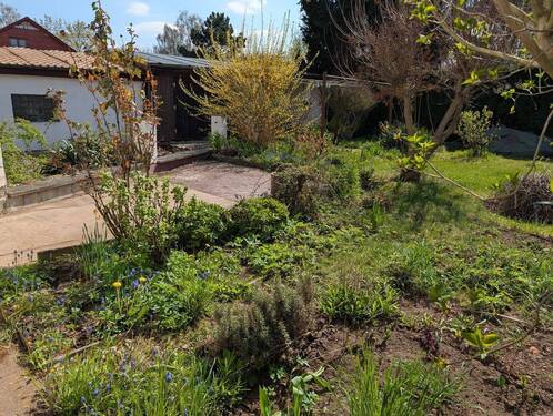 Garten mit Baumbestand - 