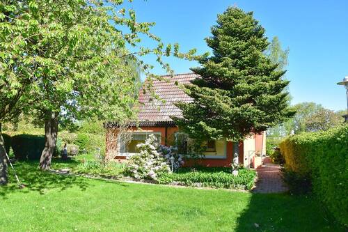 Gartenblick mit altem Baumbestand - 