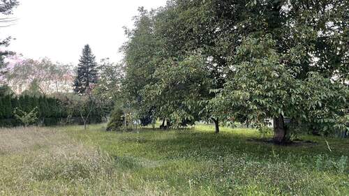 Garten - Einfamilienhaus mit 94,00 m² in Laubusch zum Kaufen