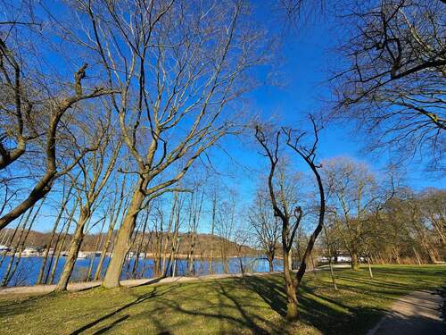 20260320_160000.jpg - 