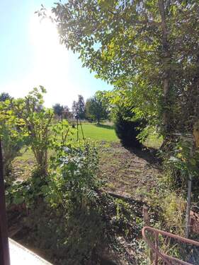 Ausblick Wohnzimmerfenster - 