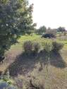 Balkonausblick im DG zum Feld - 