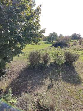 Balkonausblick im DG zum Feld - 