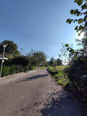 ... vor dem Haus - 