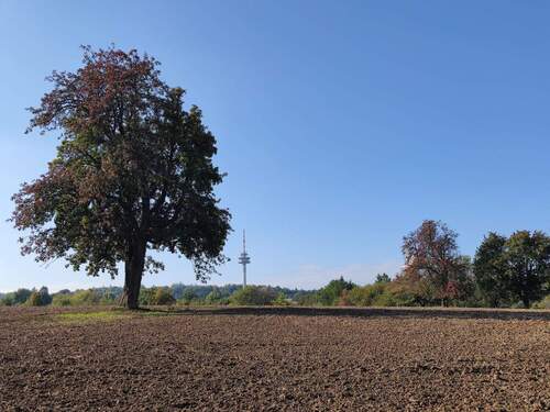 ...unser Funkturm - 