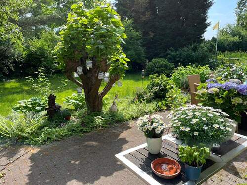 Gartenimpressionen - 