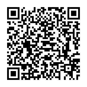 QR-Code - 