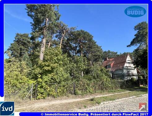 Blick von der Straße - Bauträgerfreies Grundstück in grüner Umgebung