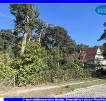 Bauträgerfreies Grundstück in grüner Umgebung - Zossen Dabendorf