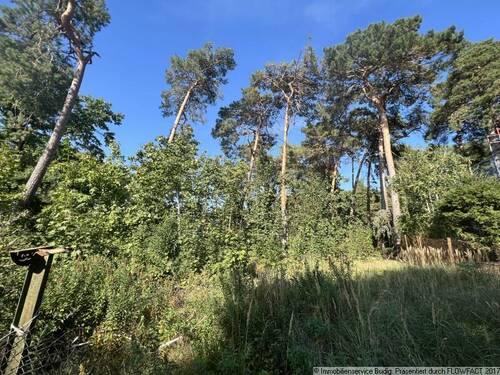 Blick auf das Grundstück - Grundstück in Zossen