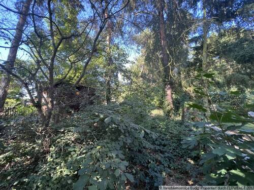 Ansicht - Grundstück in Zossen zum Kaufen