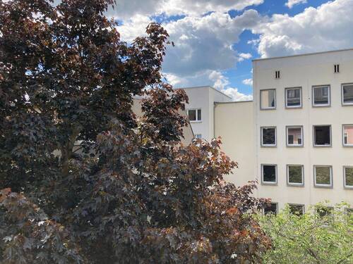 Ausblick - 