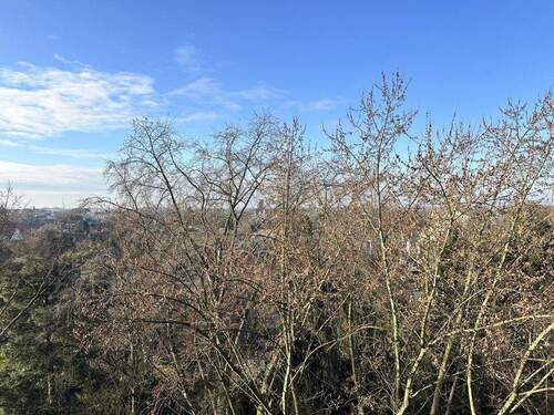 Weitblick vom Balkon zur Bueraner Innenstadt - 