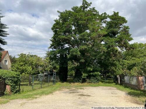 ruhige Anliegerstraße - Grundstück zum Kaufen in Neuenhagen