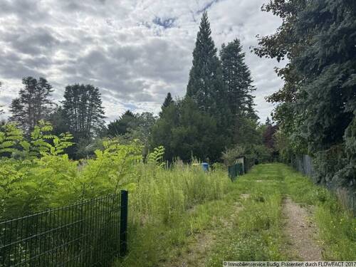 Ende der Sackgasse - links befindet sich das Grundstück - Grundstück in Neuenhagen