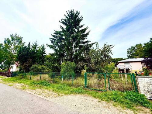 Grundstück - Grundstück zum Kaufen in Königs Wusterhausen