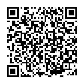 QR-Code - 