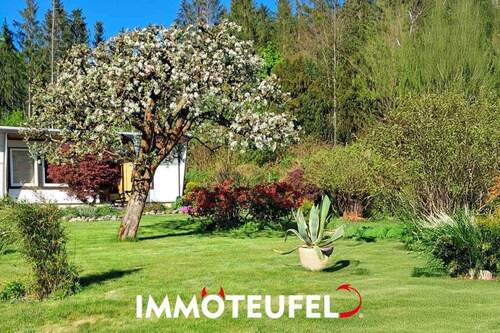 So sieht es im Sommer aus - 