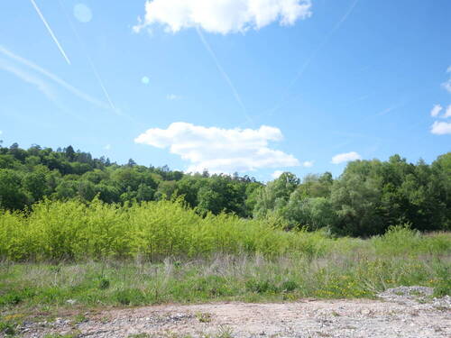 Blick nach Norden - 