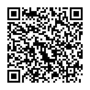 QR-Code - 