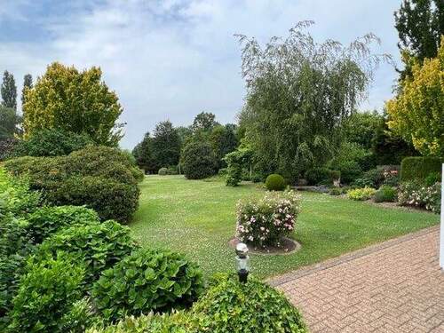 Traumhafter Garten - 