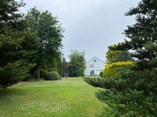 Sicht aus dem Garten - 