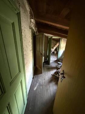 IMG_5800.jpeg - 