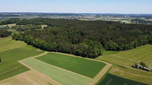 Äcker und Wälder - 