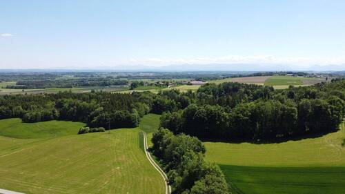 Weitläufige Felder - 